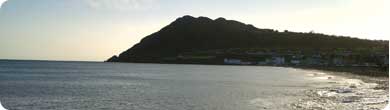 Bray