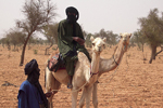 Los tuareg