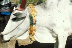Tradiciones