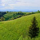 Paisaje