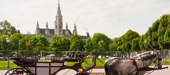 Viena