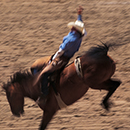 Rodeo