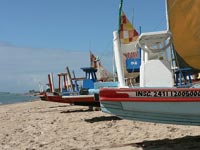 Study Portuguese in Maceio