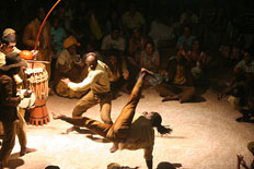 Practicando capoeira