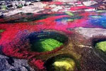 Caño cristales