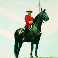 Policía Montada de Canadá